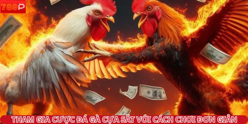 Tham gia cược đá gà cựa sắt với cách chơi đơn giản